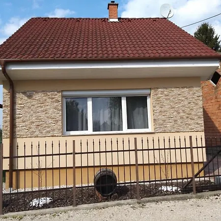 Nefelejcs Nyaralo-Vendeghaz Villa Dunasziget Exterior photo
